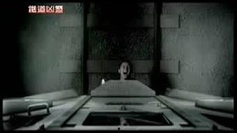 遗失物在线观看,网络寻踪，找回失落的记忆